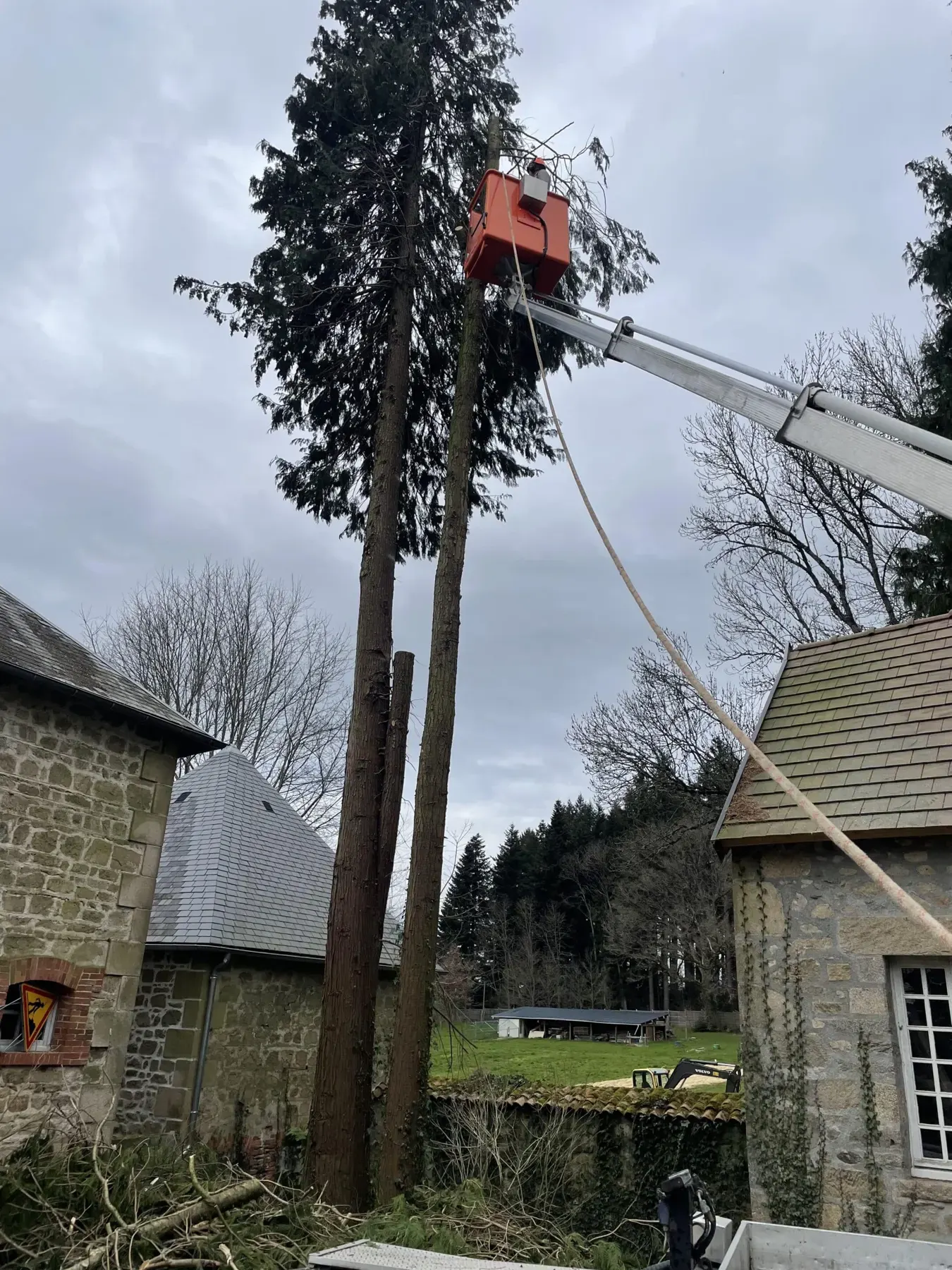 Intervention en nacelle sur un arbre difficile entre des habitations
