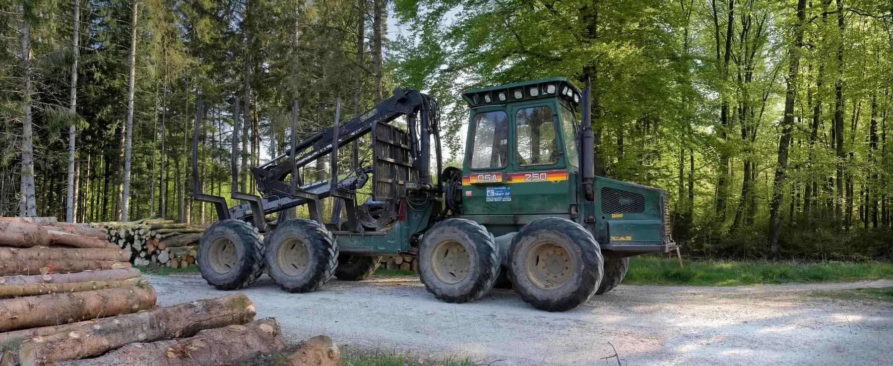 Débardage forestier : porteur professionnel et grumes préparées en forêt